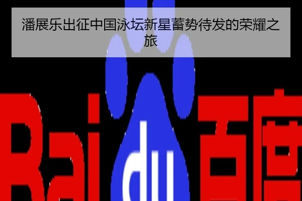 潘展乐出征中国泳坛新星蓄势待发的荣耀之旅