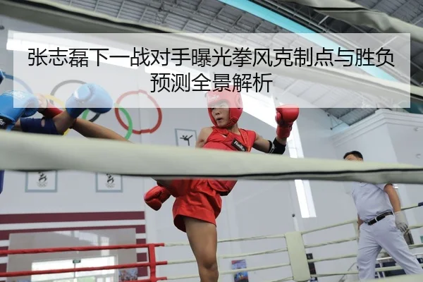 张志磊下一战对手曝光拳风克制点与胜负预测全景解析